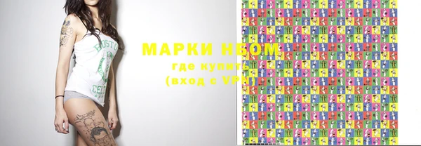 шишки Баксан