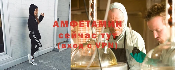 шишки Баксан