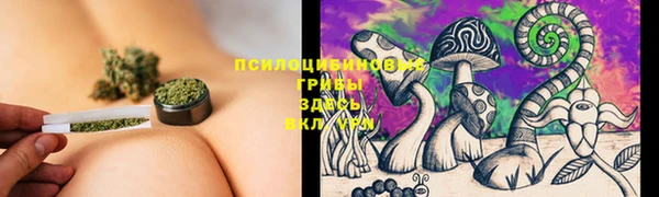 трава Балабаново