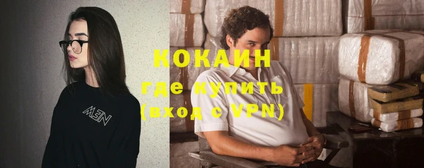 шишки Баксан