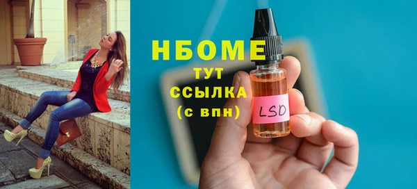 шишки Баксан