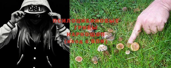 шишки Баксан