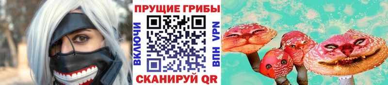 Галлюциногенные грибы Psilocybine cubensis  что такое наркотик  Озёры 